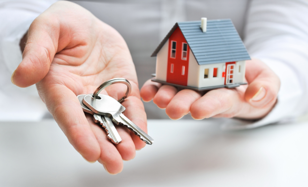 immobilier